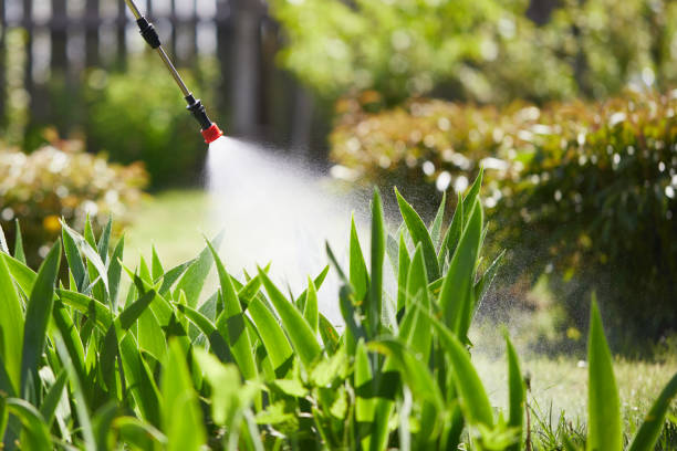 24/7 Emergency Mosquito Control experts in Hagaman, NY